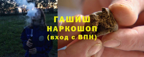 соль ск Новозыбков