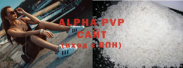 соль ск Новозыбков