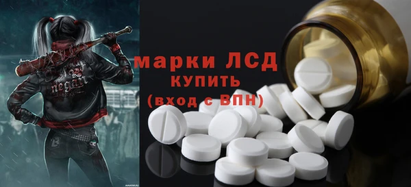 ешки Новодвинск