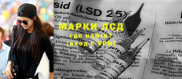 ешки Новодвинск