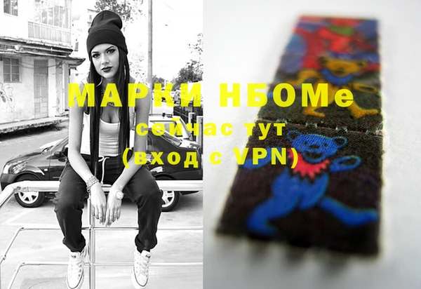 ешки Новодвинск