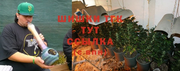 дмт Новокубанск