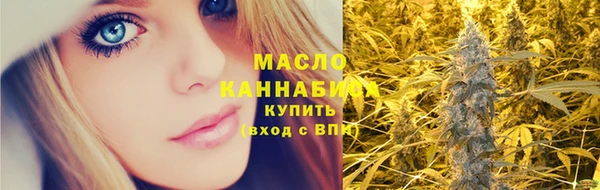 соль ск Новозыбков