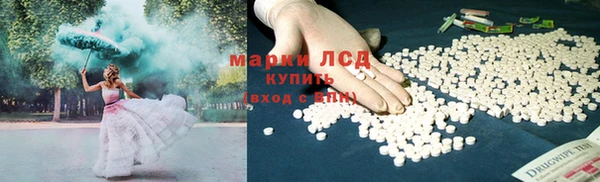 дмт Новокубанск
